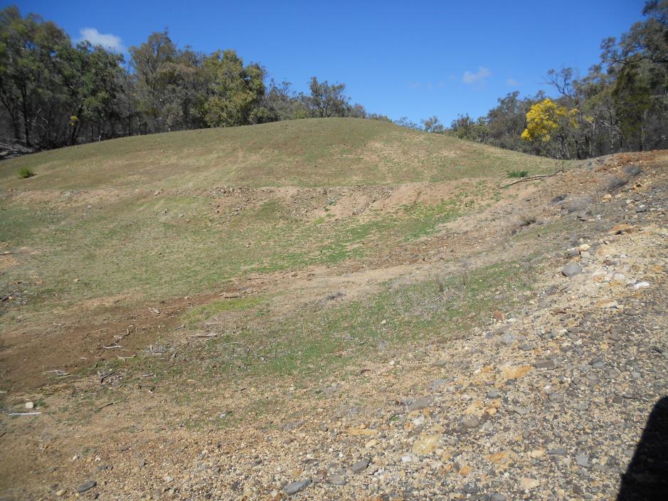 Grassy slope with bat-friendly fences